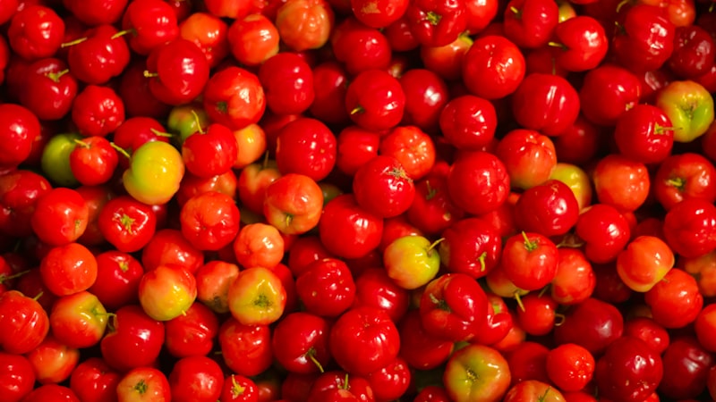 隣り合って座っている赤いサクランボの山