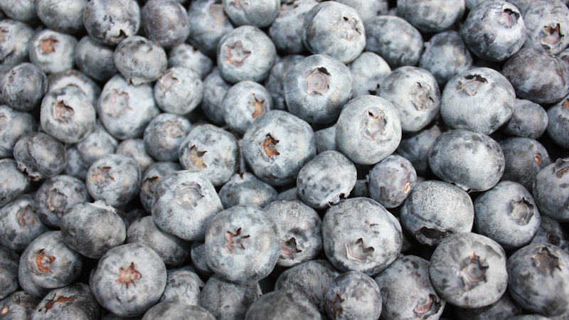 テーブルの上に山盛りのブルーベリー