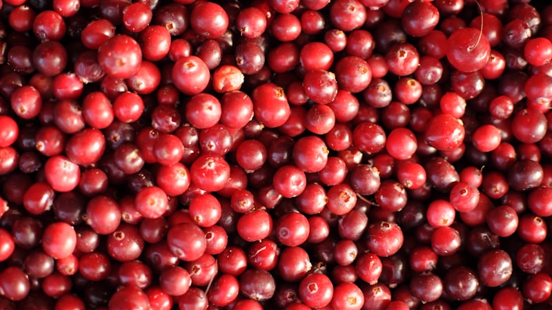 白い表面に赤い丸い果実