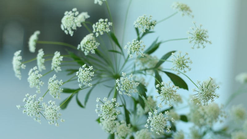 テーブルの上に白い花でいっぱいの花瓶