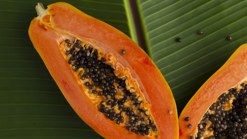 パパイン|消化機能と炎症が気になる人のタンパク質分解酵素サポート