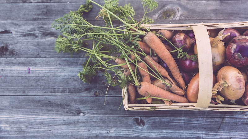 新鮮な野菜とナチュラルフード