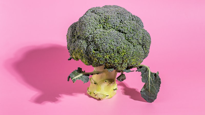 新鮮な野菜とナチュラルフード