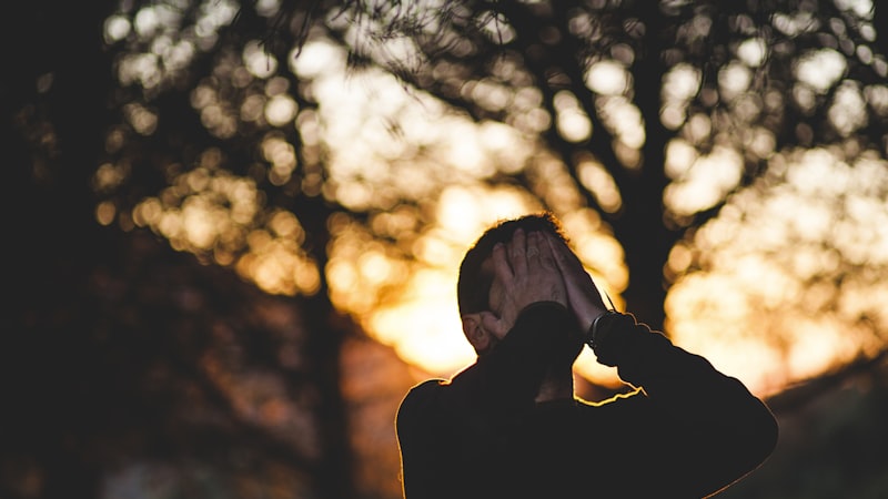 ロディオラ（紅景天）｜ストレスと疲れに寄り添うアダプトゲン