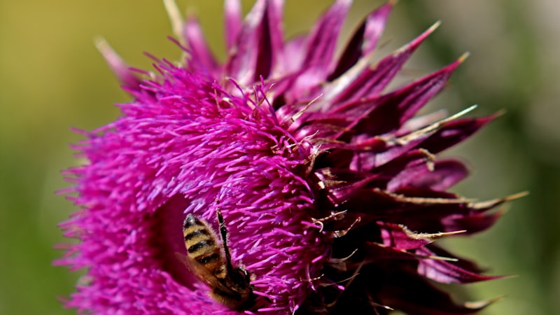 新鮮な野菜とナチュラルフード