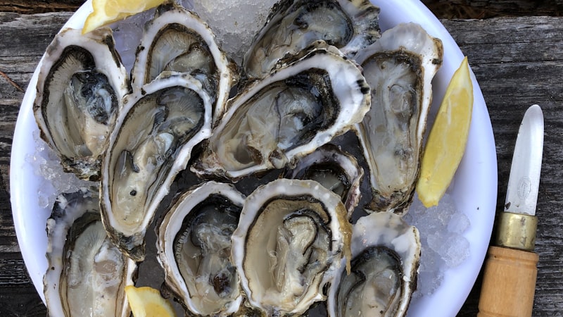レモンウェッジとナイフのカキのプレート