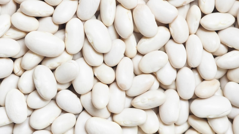 白い背景に白いんげん豆